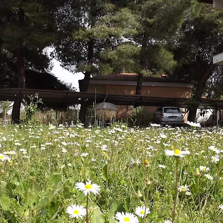 Pefka Studios & 3* Chalkidiki