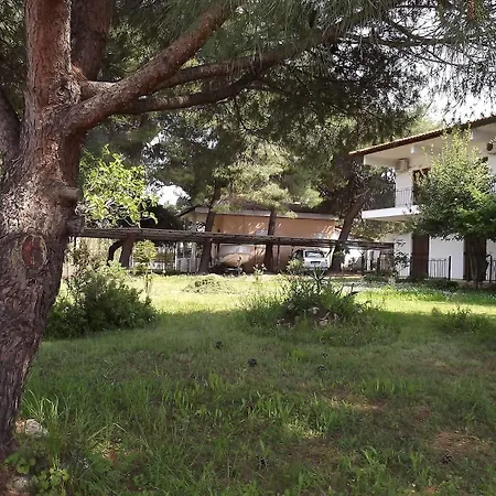Pefka Studios & Chalkidiki