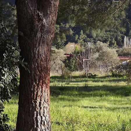 Hotel Pefka Studios & Chalkidiki