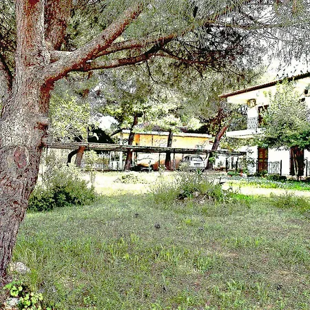 Pefka Studios & Chalkidiki