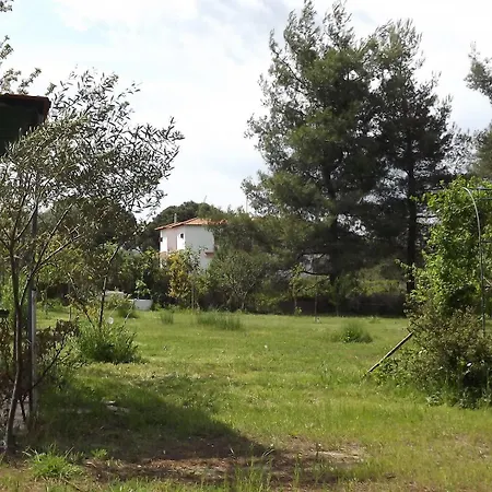 Hotel Pefka Studios & 3*